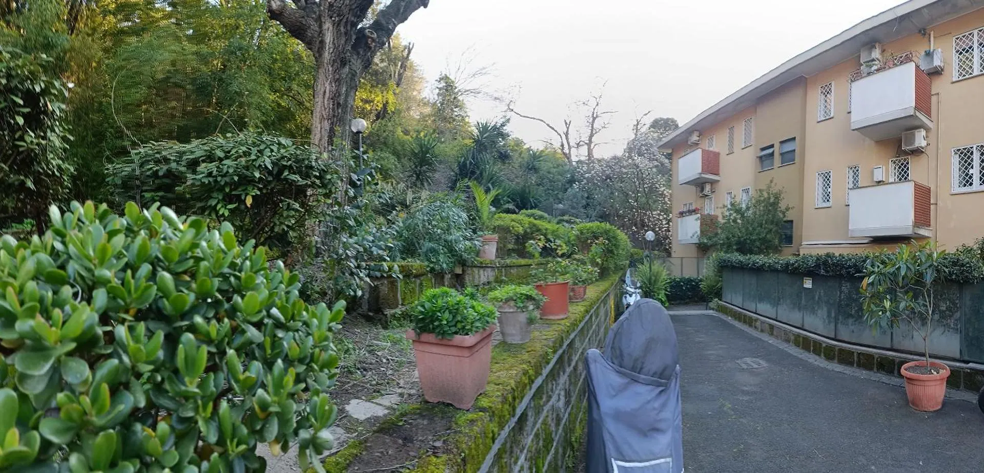 Vatican Firefly House Rome